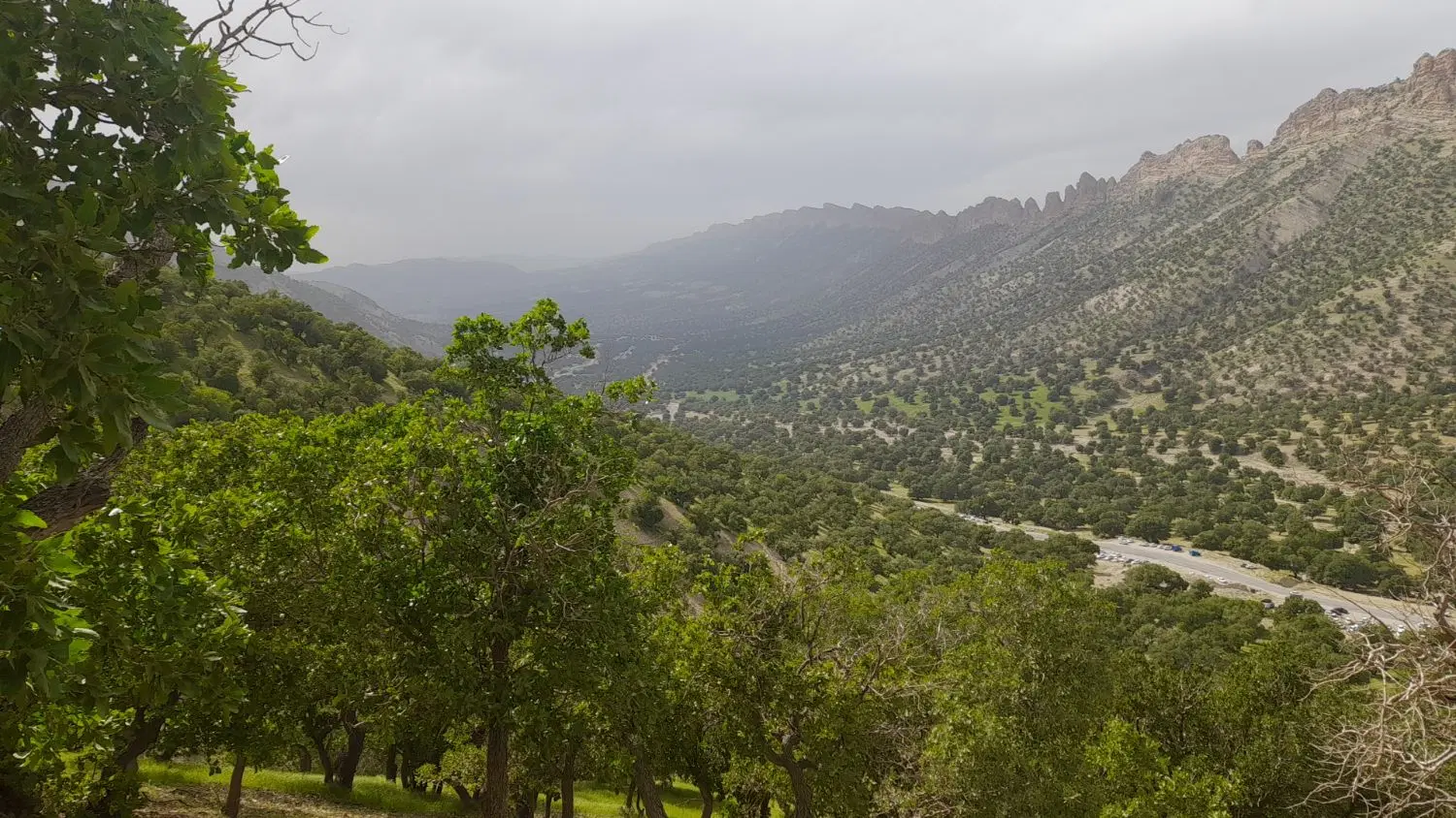 زمین دوبر جنوبی