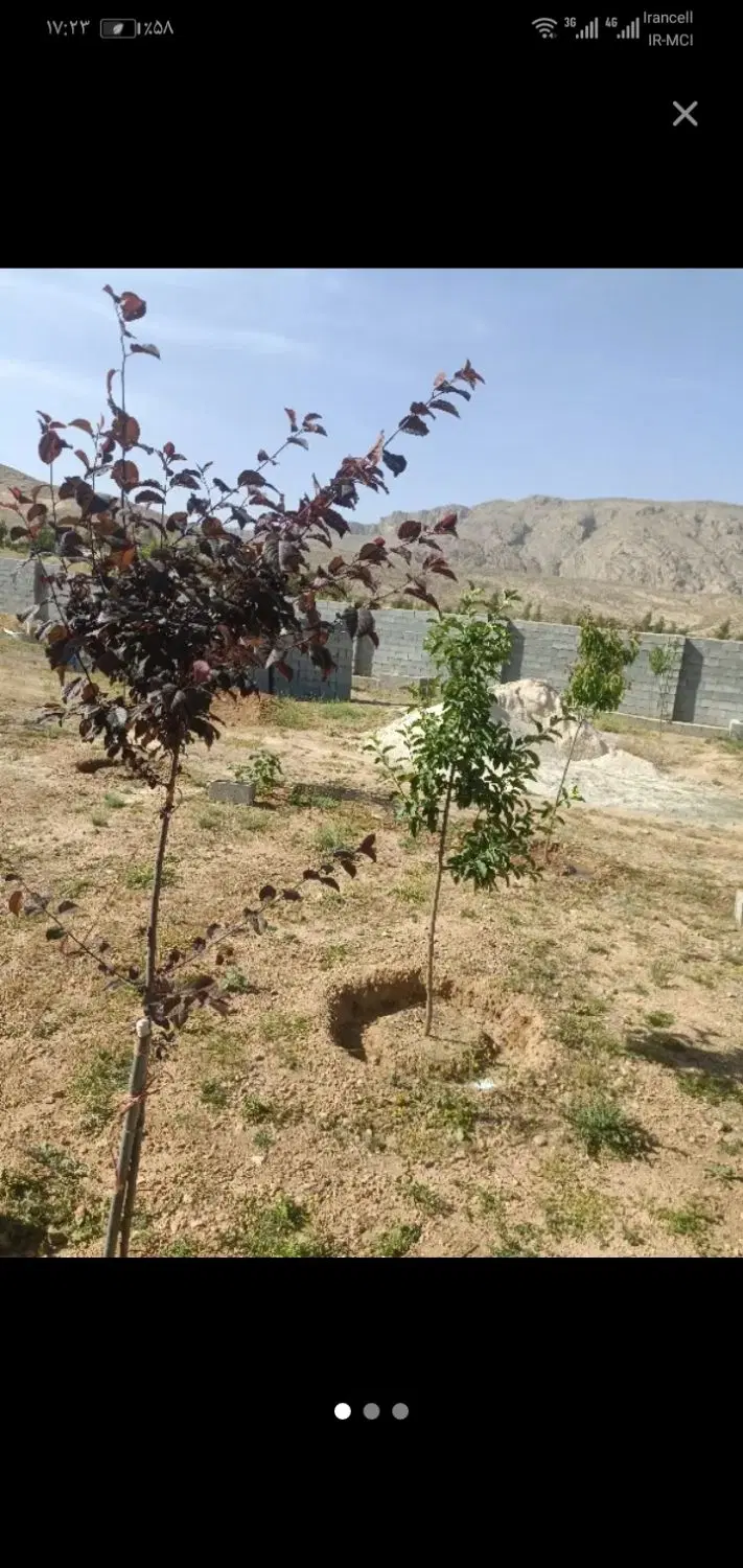 1000مترباغچه