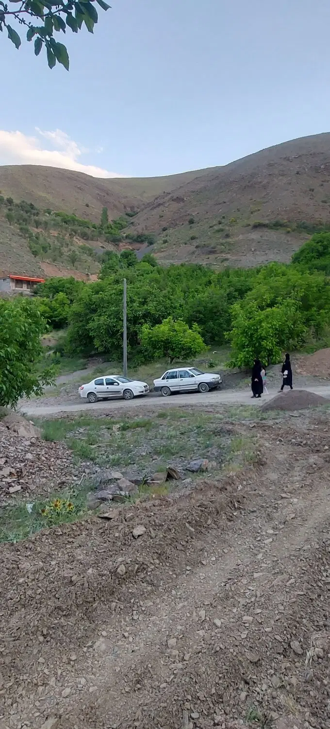 زشک 800 متر زمین باغی با درختان مثمر