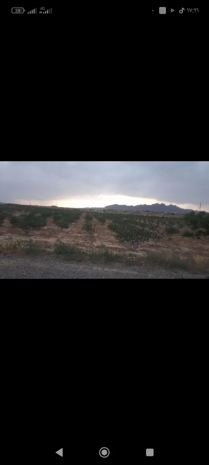 باغ پسته