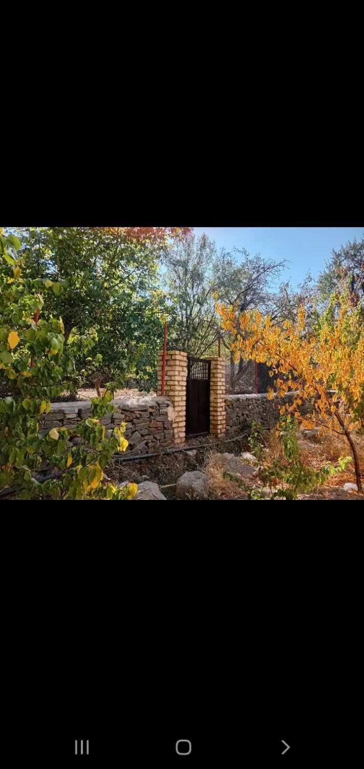 فروش باغ