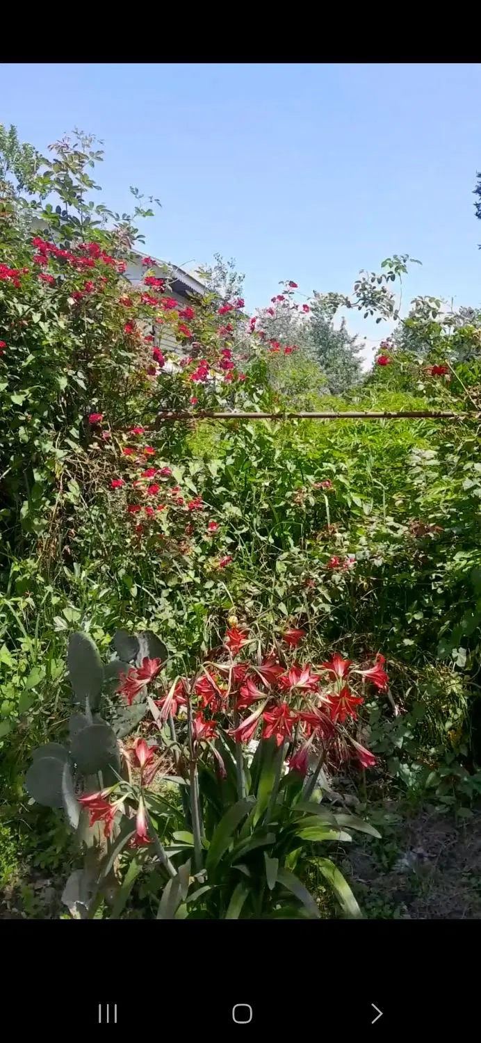زمین و خانه مسکونی