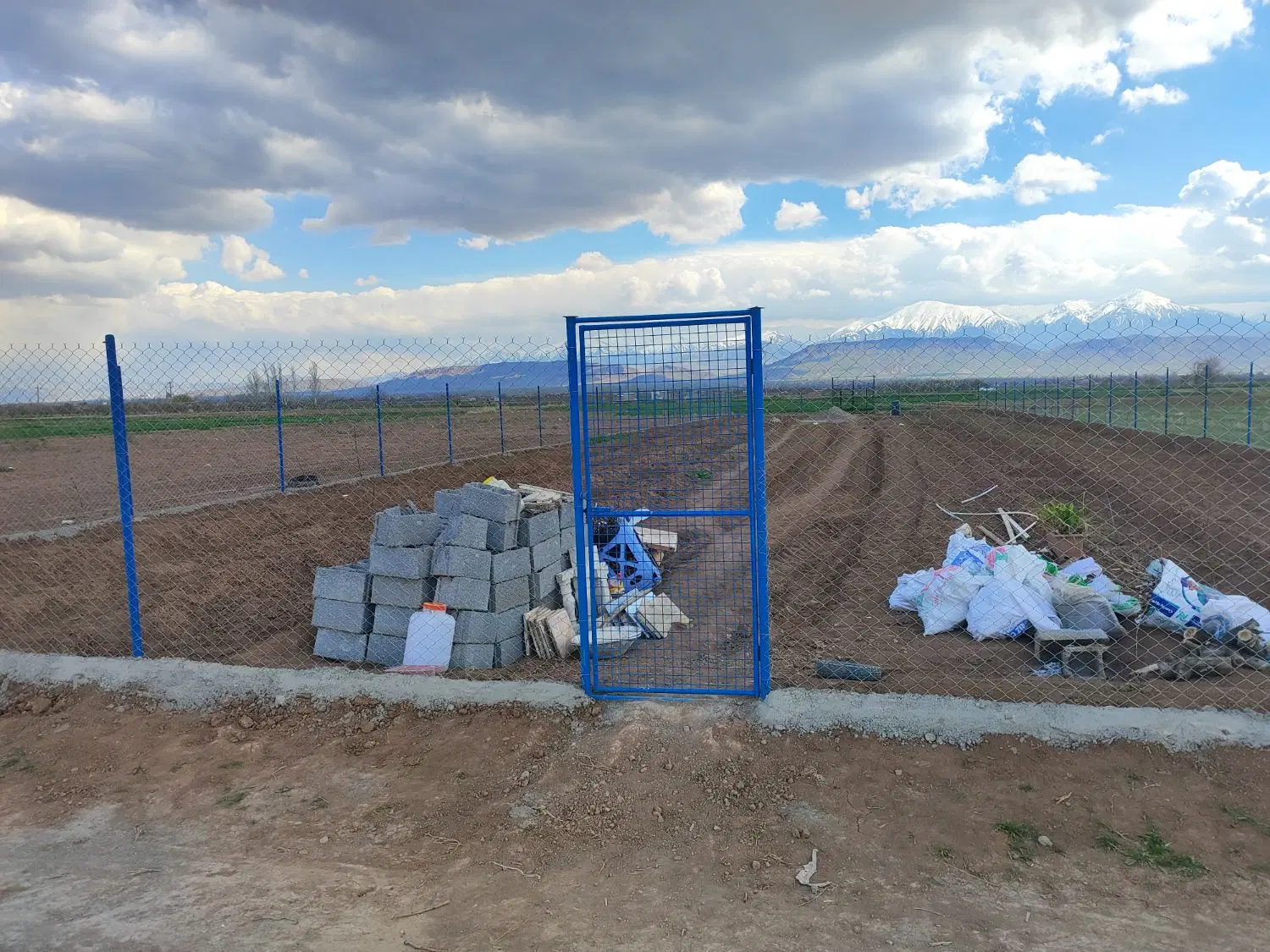 فروش باغ با درختان یکساله مرکید