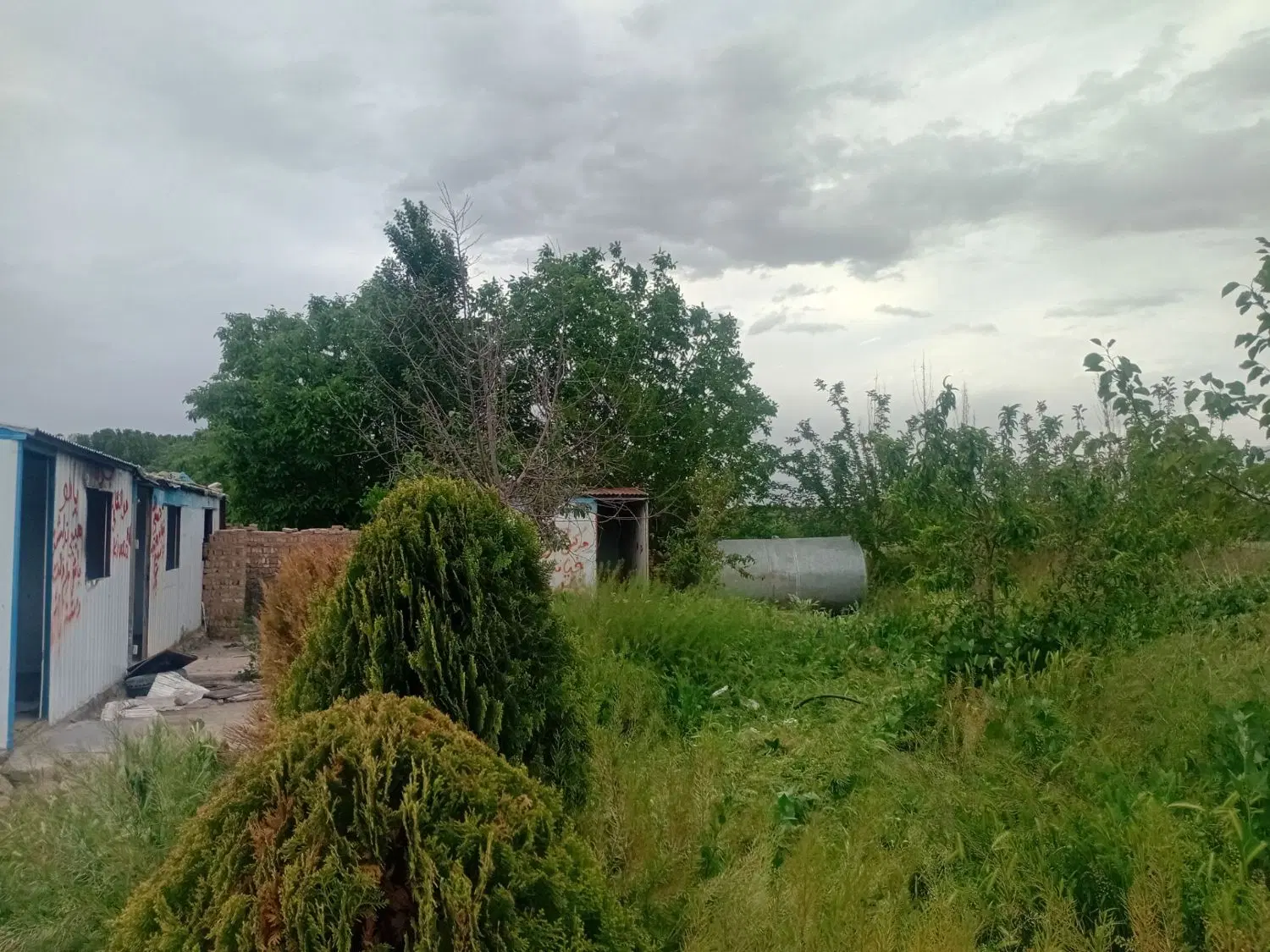 باغ میوه ینگی امام