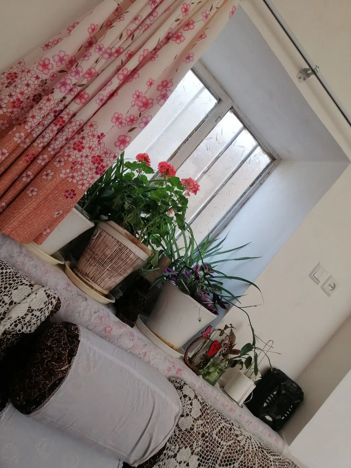 خانه باغ  واقع در بنادک سادات باغ حاجیون