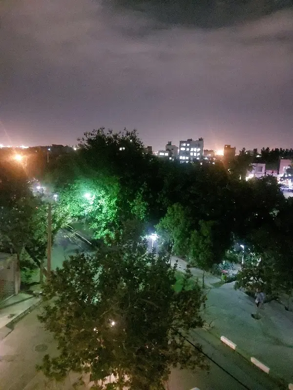 همخانه ، همخونه