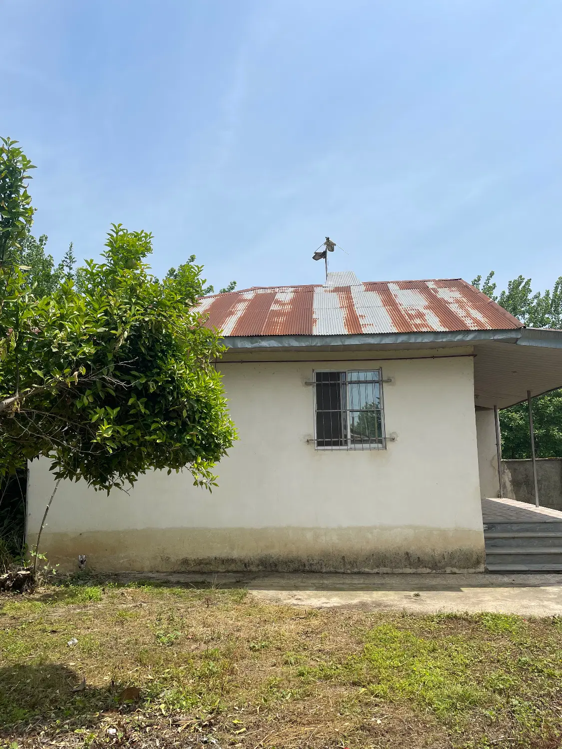 زمین مسکونی