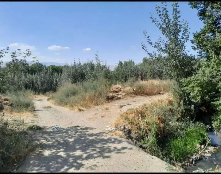 فروش بیشه زار ( مشه ) در روستای بدلبو