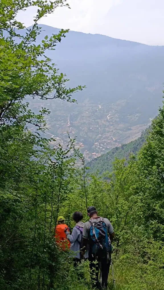 زمین مسکونی در روستای زیبای وطن