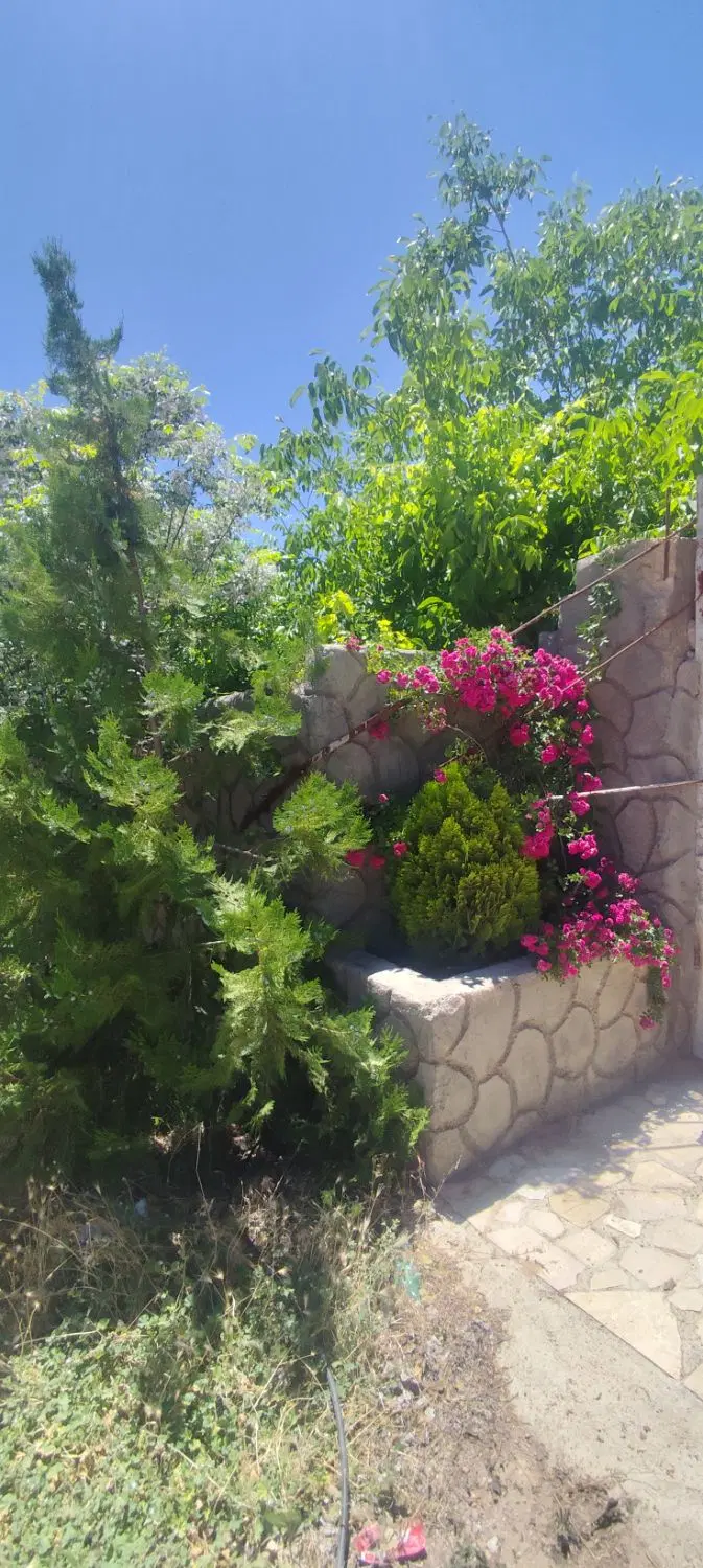 باغ ویلا ۱۰۰۰ متری_سنددار_دارای درختان گردوی قدیمی
