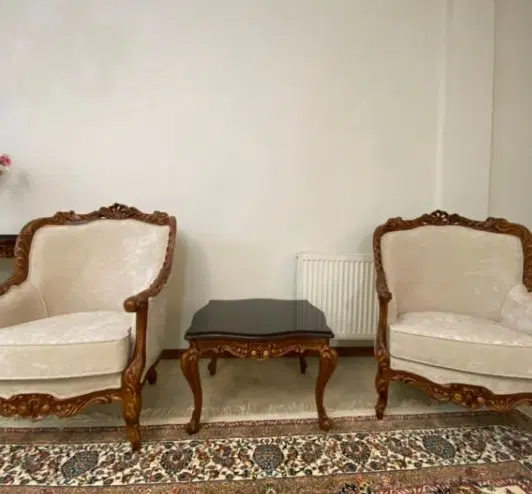 هم خانه خانم جهت زندگی
