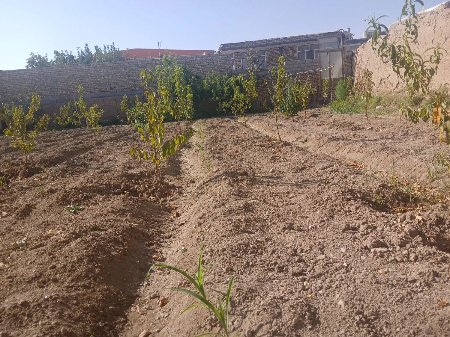 زمین ساختمانی سند دارد