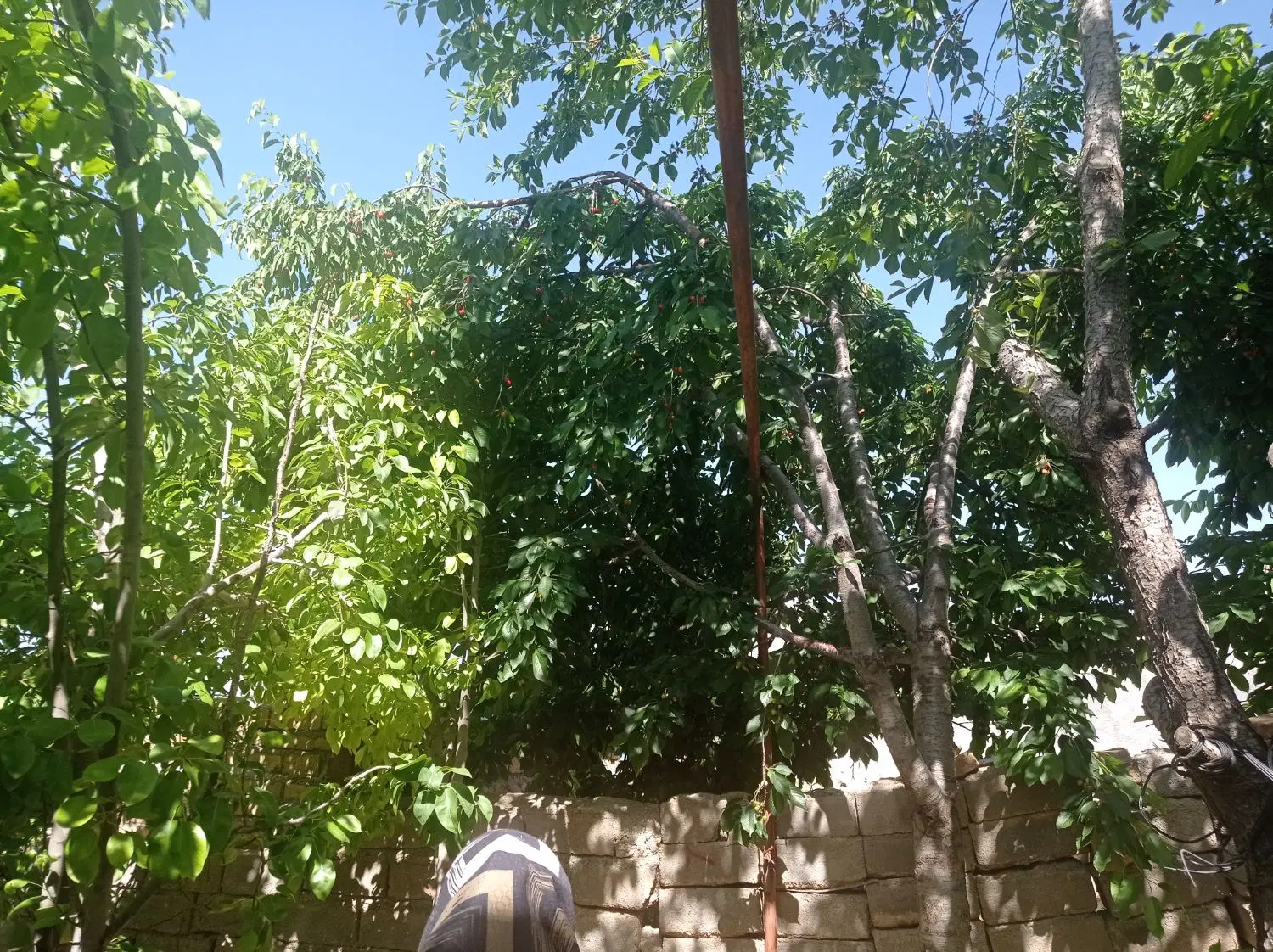 سلام زمین با استخر