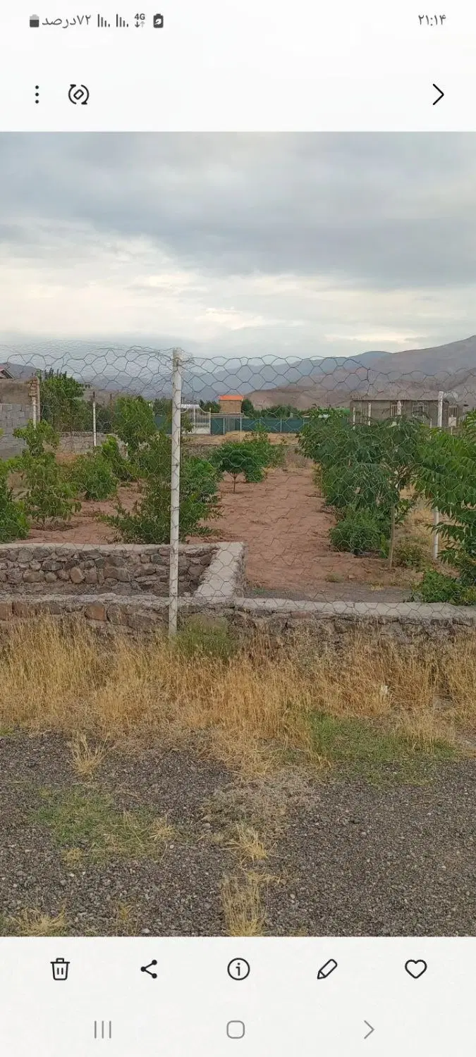 زمین باغی
