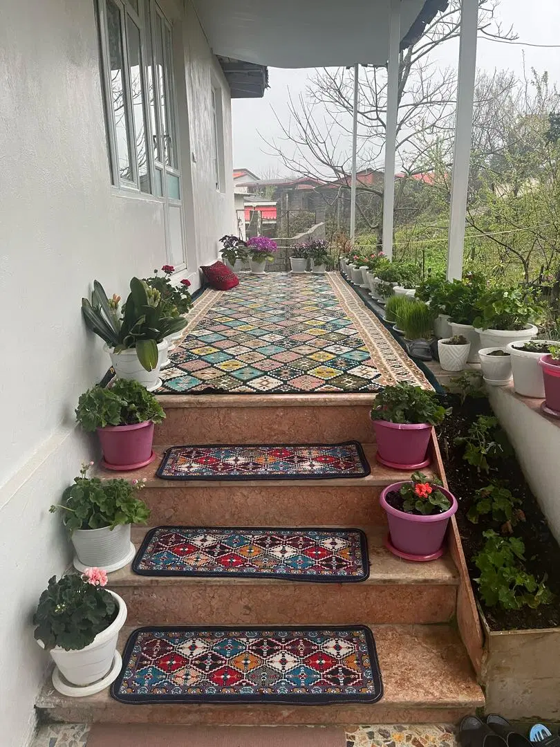 ویلای تک خوابه جنگلی