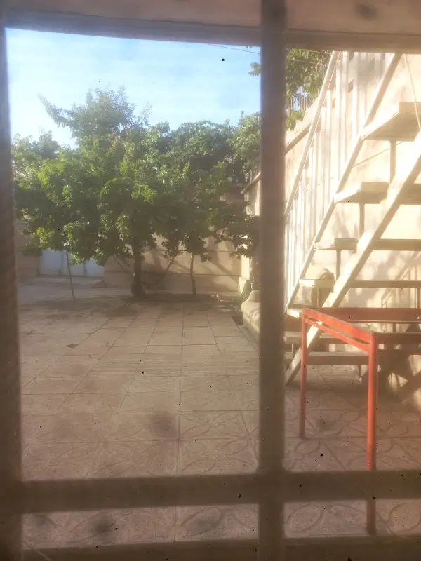 باغ ماشین رو