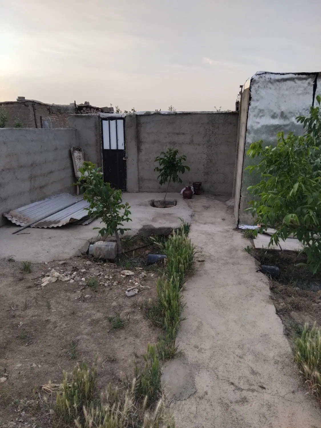 باغچه ۶۵ اصله درخت دور فنس