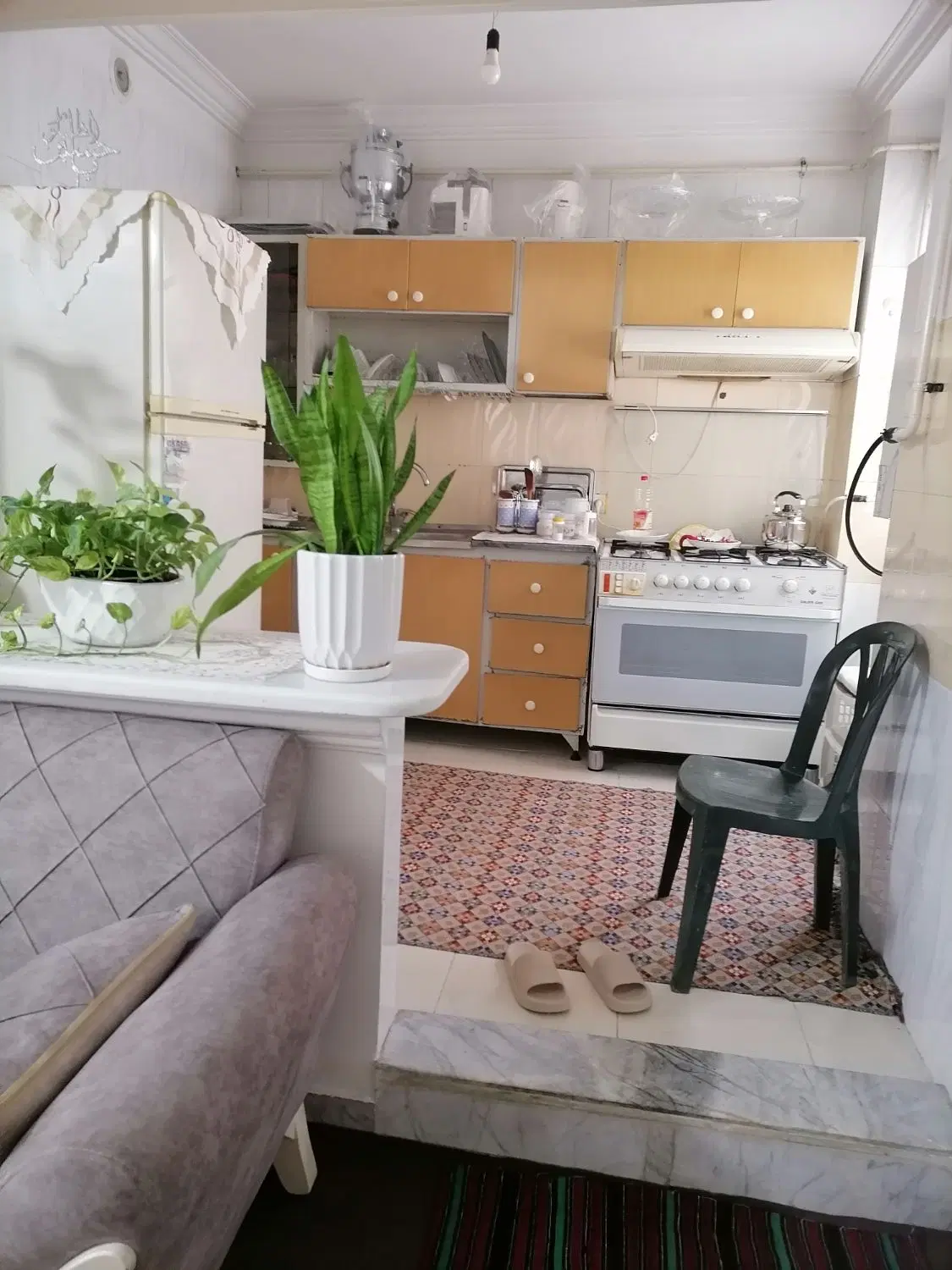همخونه خانم مذهبی