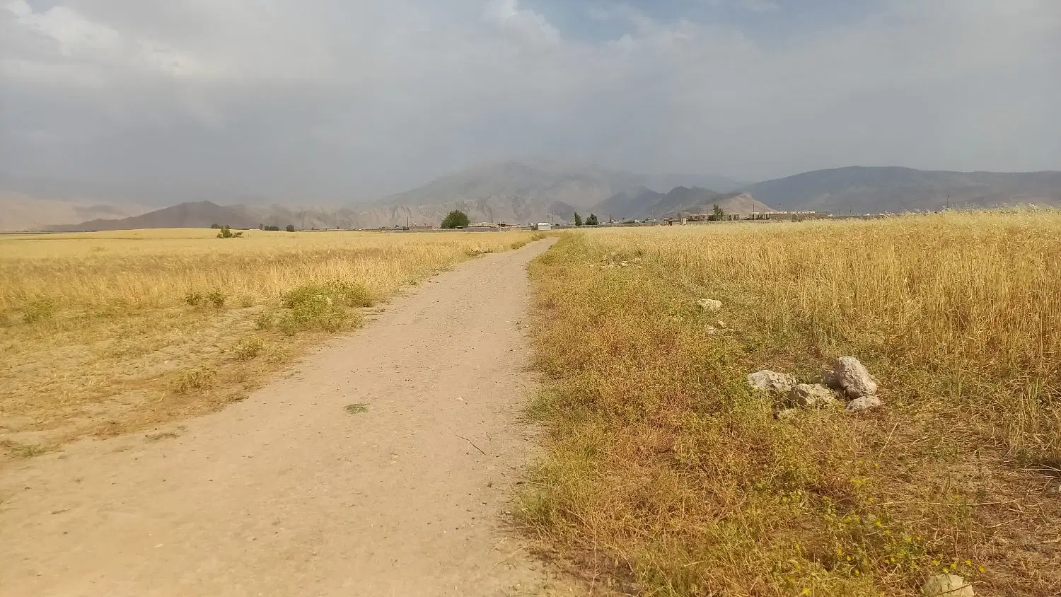 معاوضه زمین با خودرو