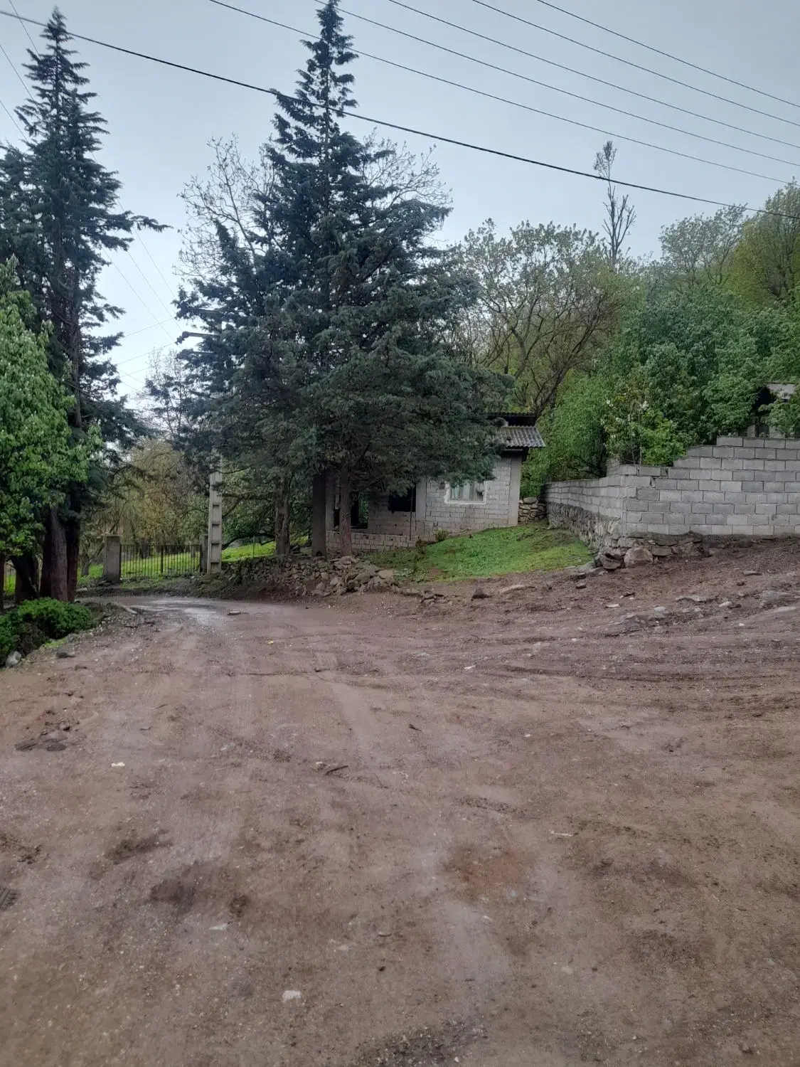 فروش چند قطعه زمین مرزن آباد روستای باندر