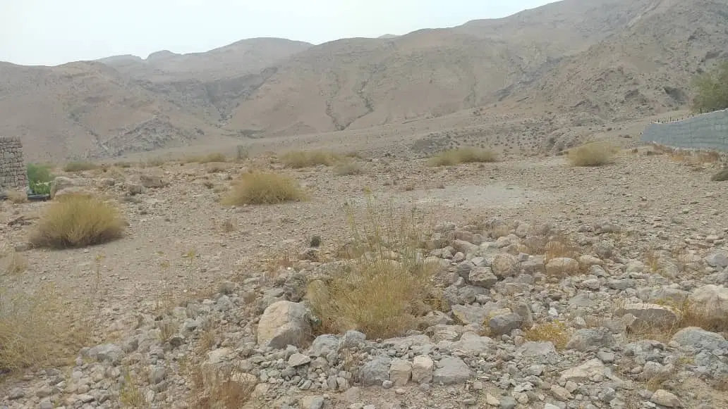 فروش زمین مسکونی در روستای خرسین سیاهو