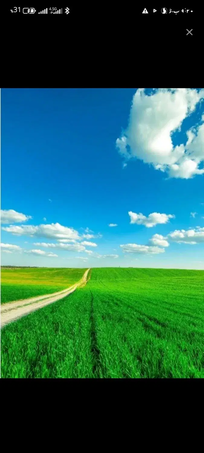 زمین کشاورزی