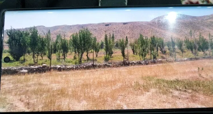 باغ میوه در ارجمند فیروزکوه دارای سند منگوله دار