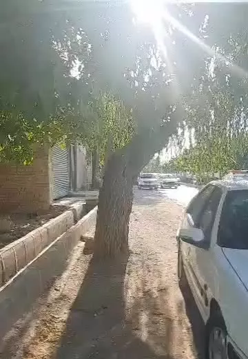 زمین ۱۰۰ متری