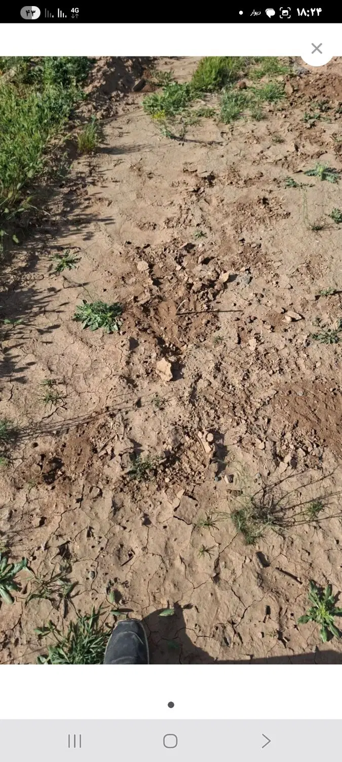 زمین روبروی دانشگاه دولتی .