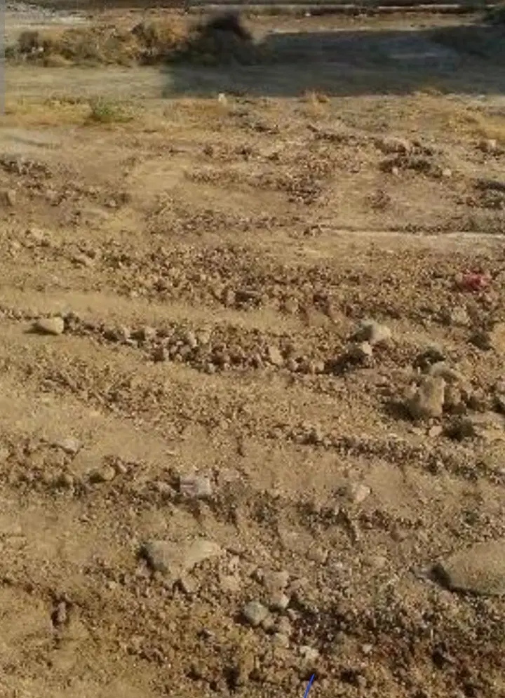 زمین مسکونی۹۴متر پشته جزایری