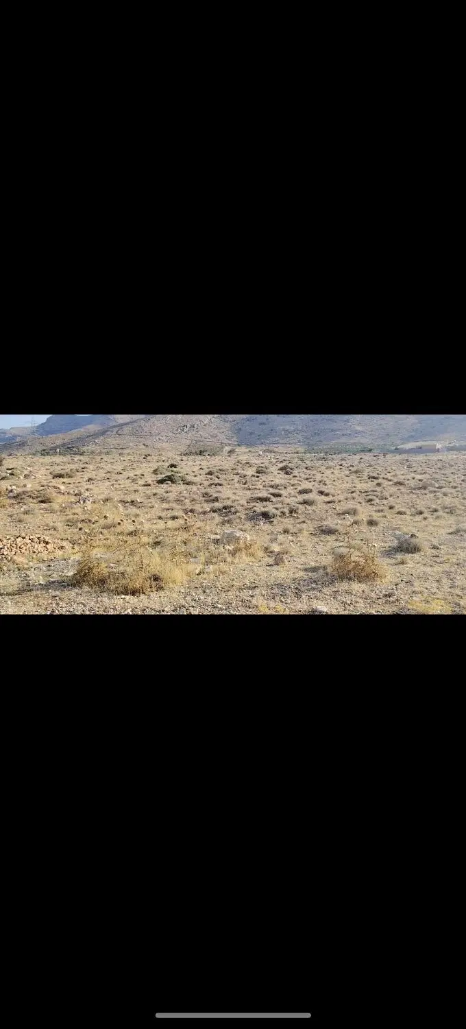 1200متر زمین باغ شهری