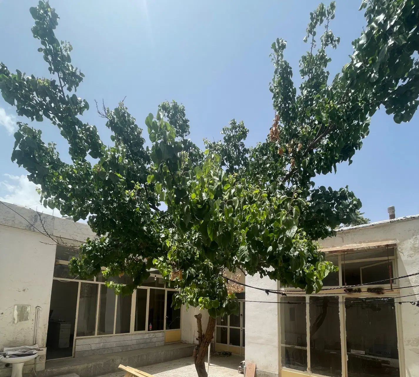 ویلایی دربست