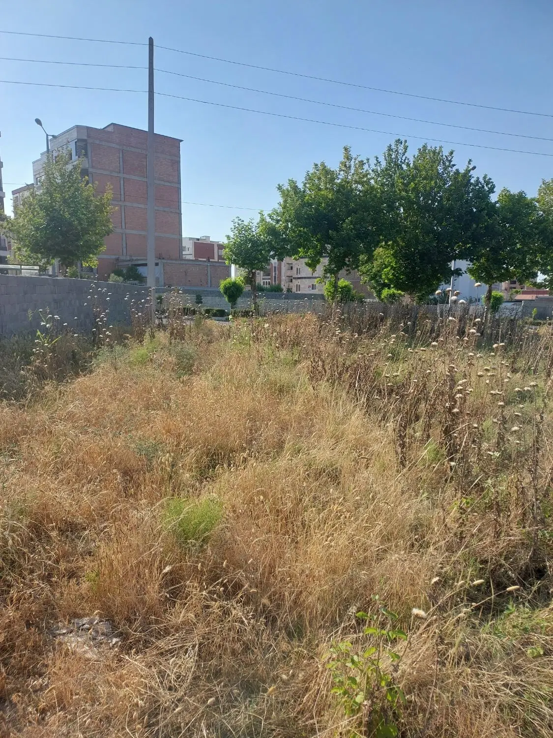 فروش زمین بلوار مریم آباد