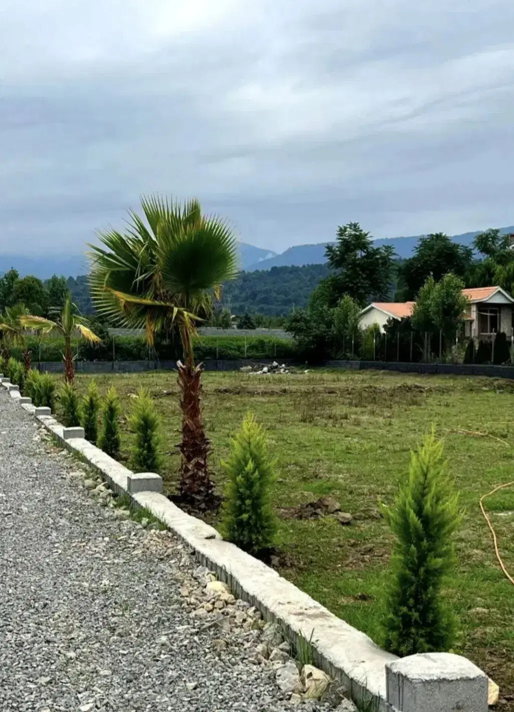 ۳۳۵ زمین آماده به ساخت ویو ابدی جنگل دریا
