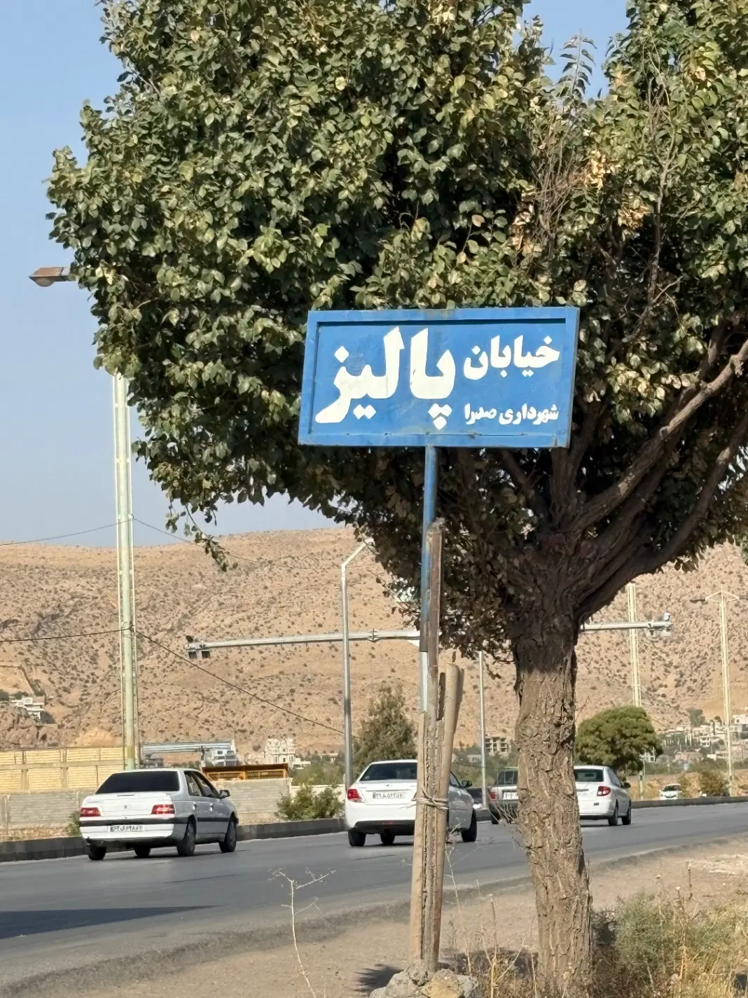 پلاک ۴۲۰۰ متری در خیابان پالیز جاده صدرا