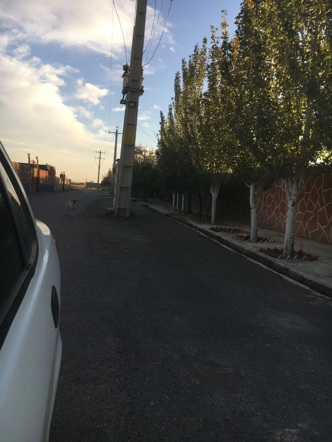 قطعه ۶۵۲ متری ویلایی استثنایی در صوفیان