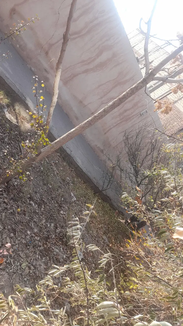 فروش زمین در کجووار