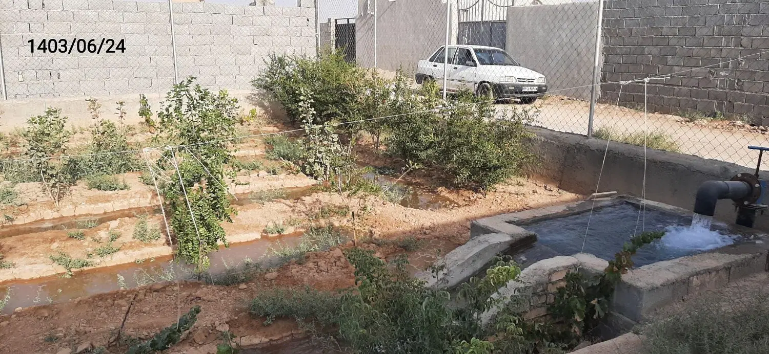 باغ نقلی