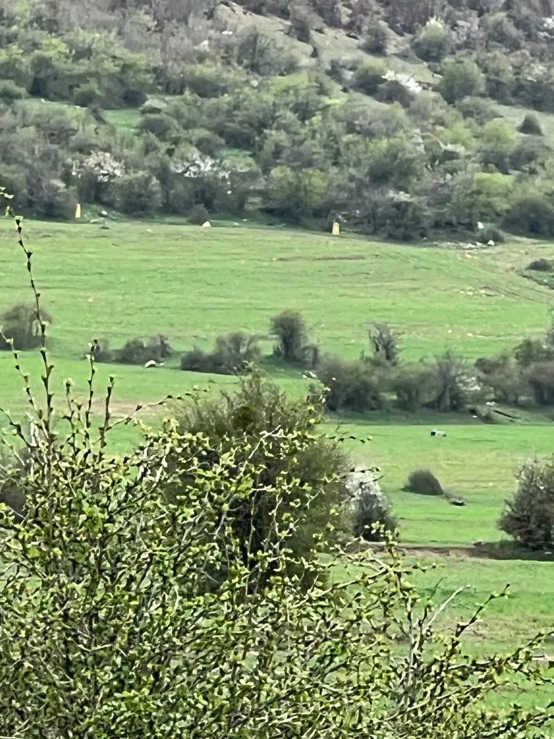 فروش ملک