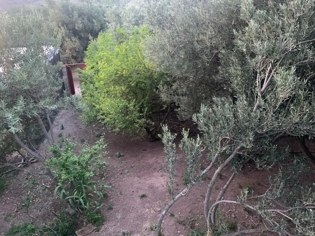 فروش زمین مسکونی