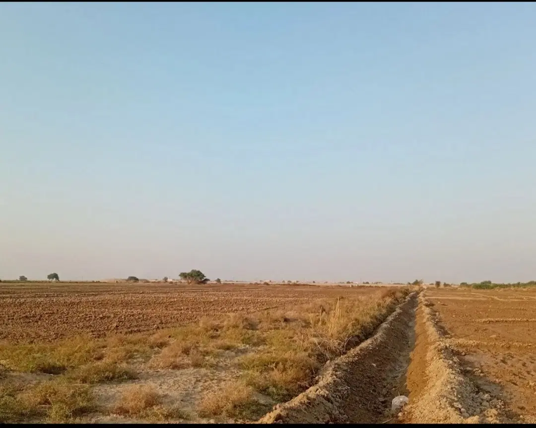 اجاره زمین کشاورزی