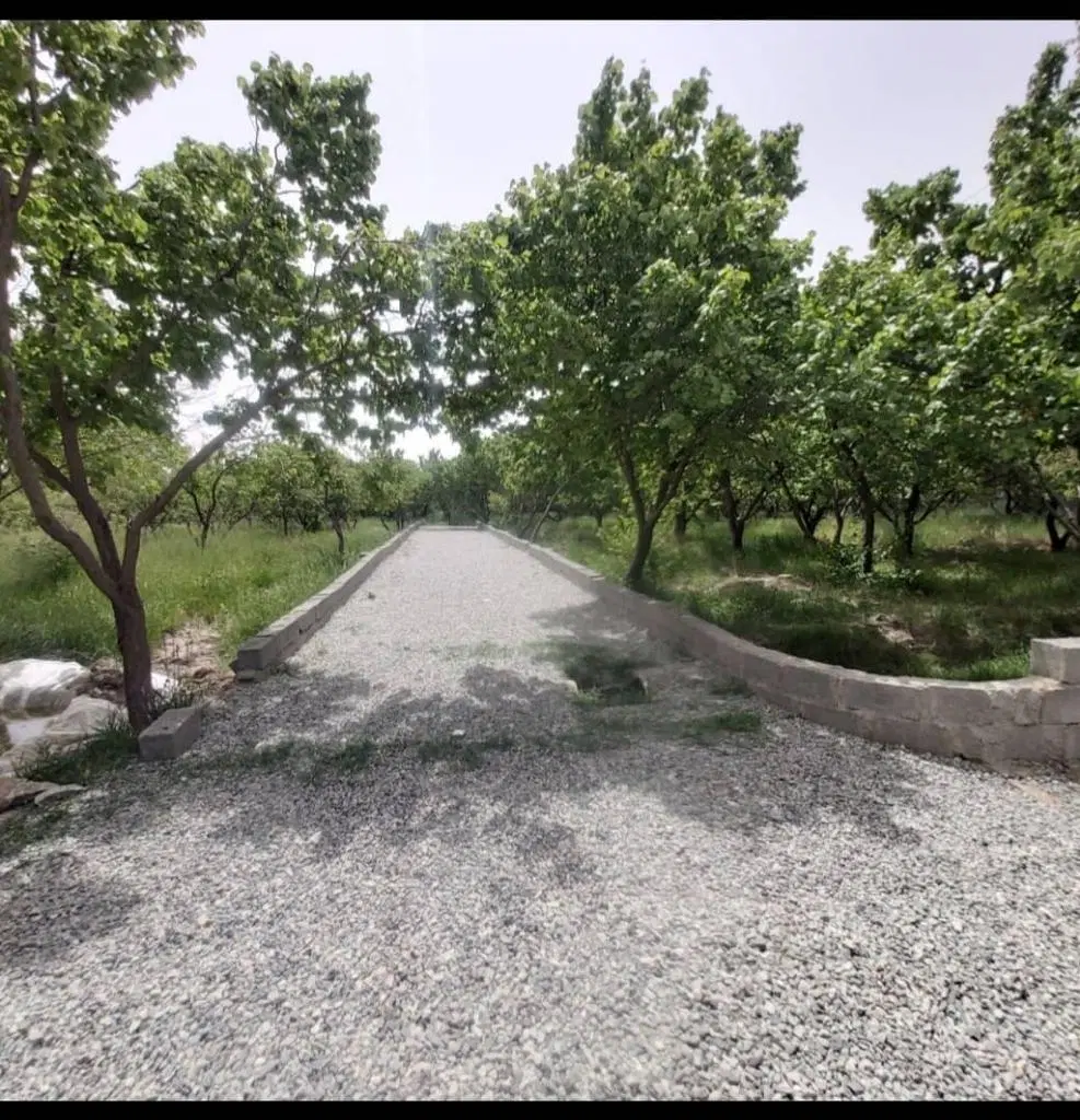 زمین کشاورزی در گیلان