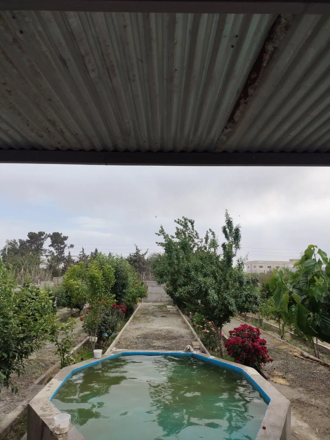 باغچه چهار دیواری سند دار
