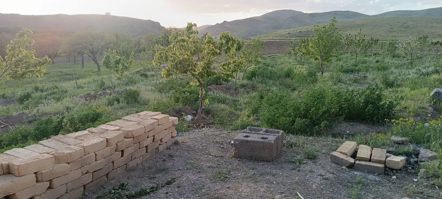 باغ سندار در روستای همایون