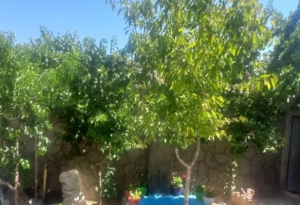 زمین فروشی شاندیز