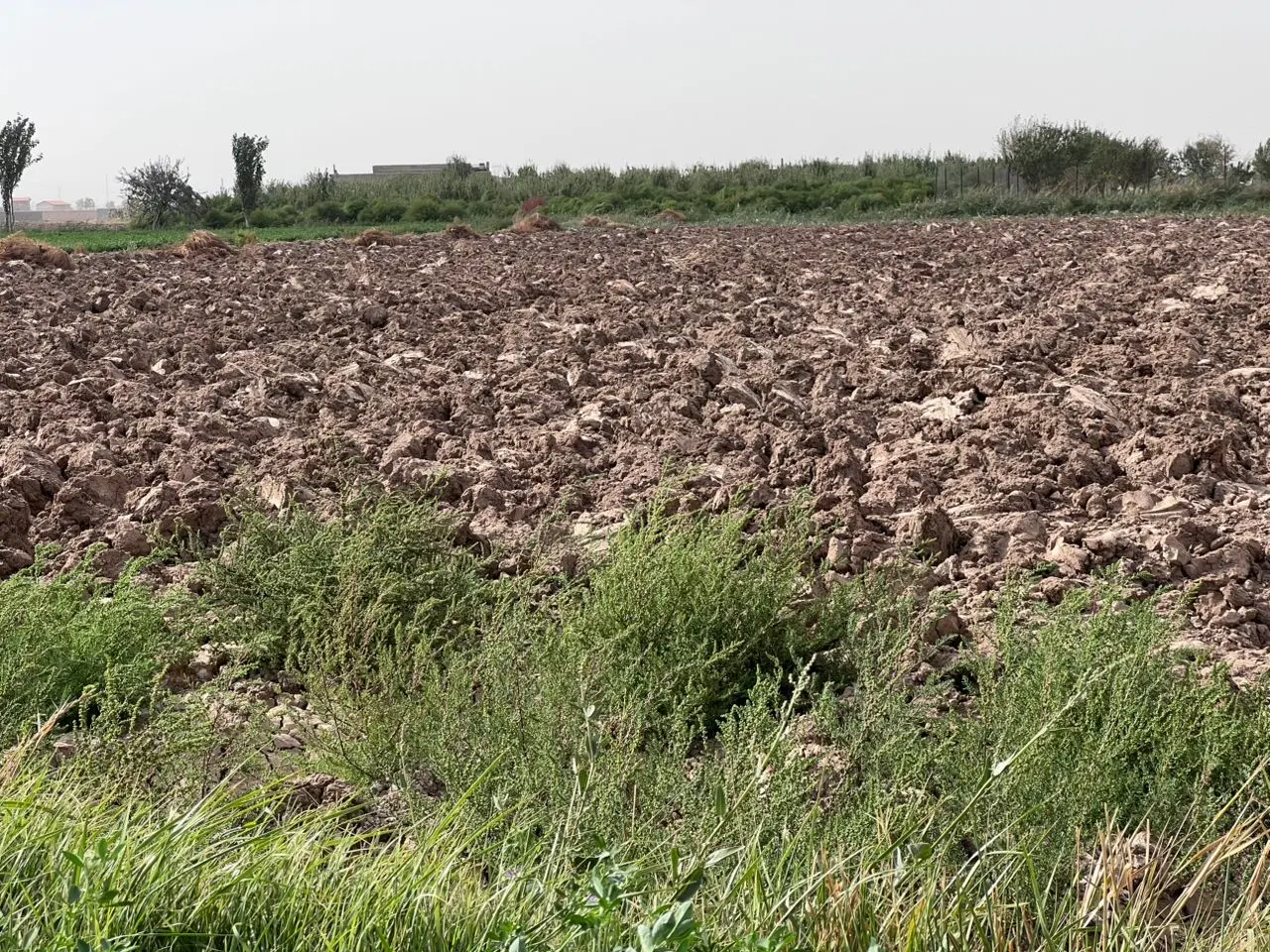 زمین زراعی ویلایی در قراملک