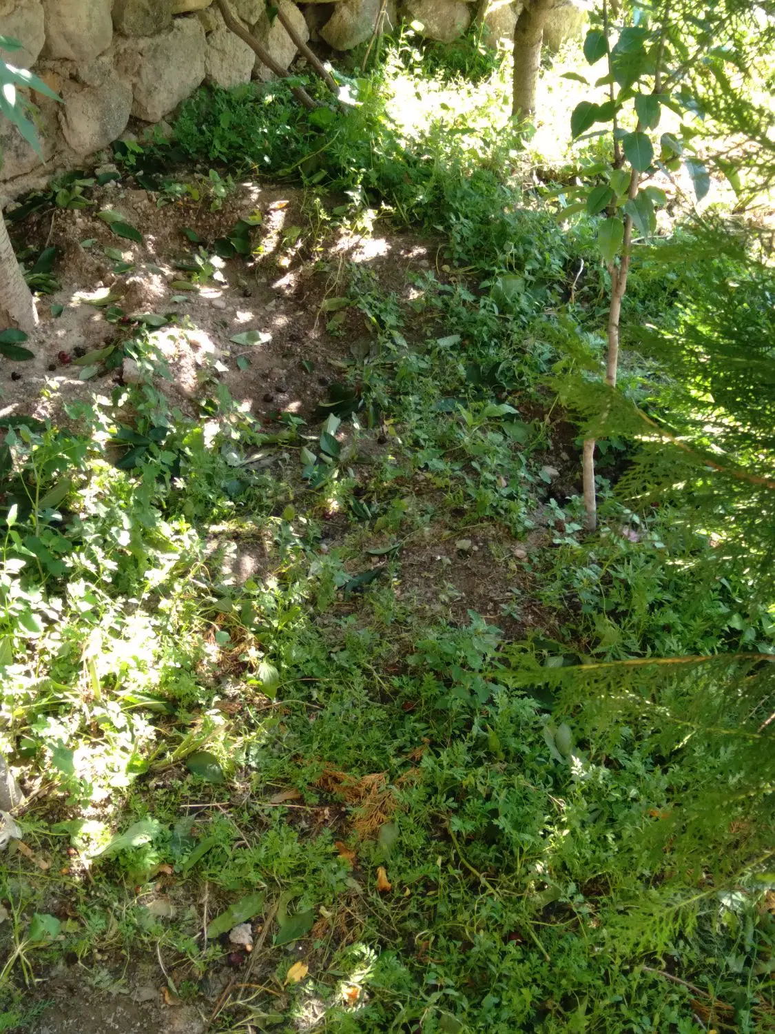 فروش زمین جای ویلا در روستای نصیرآباد