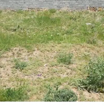 زمین روستا چقاماران