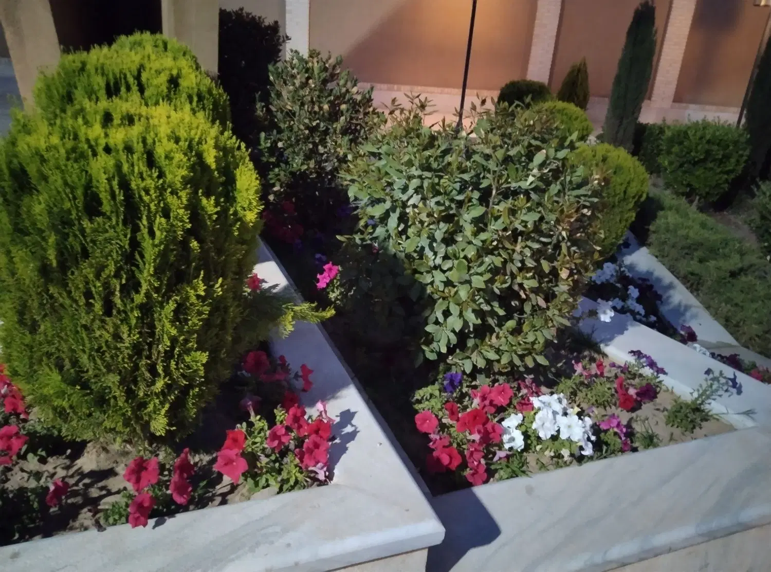 واحد ۳ خواب شهید قندی
