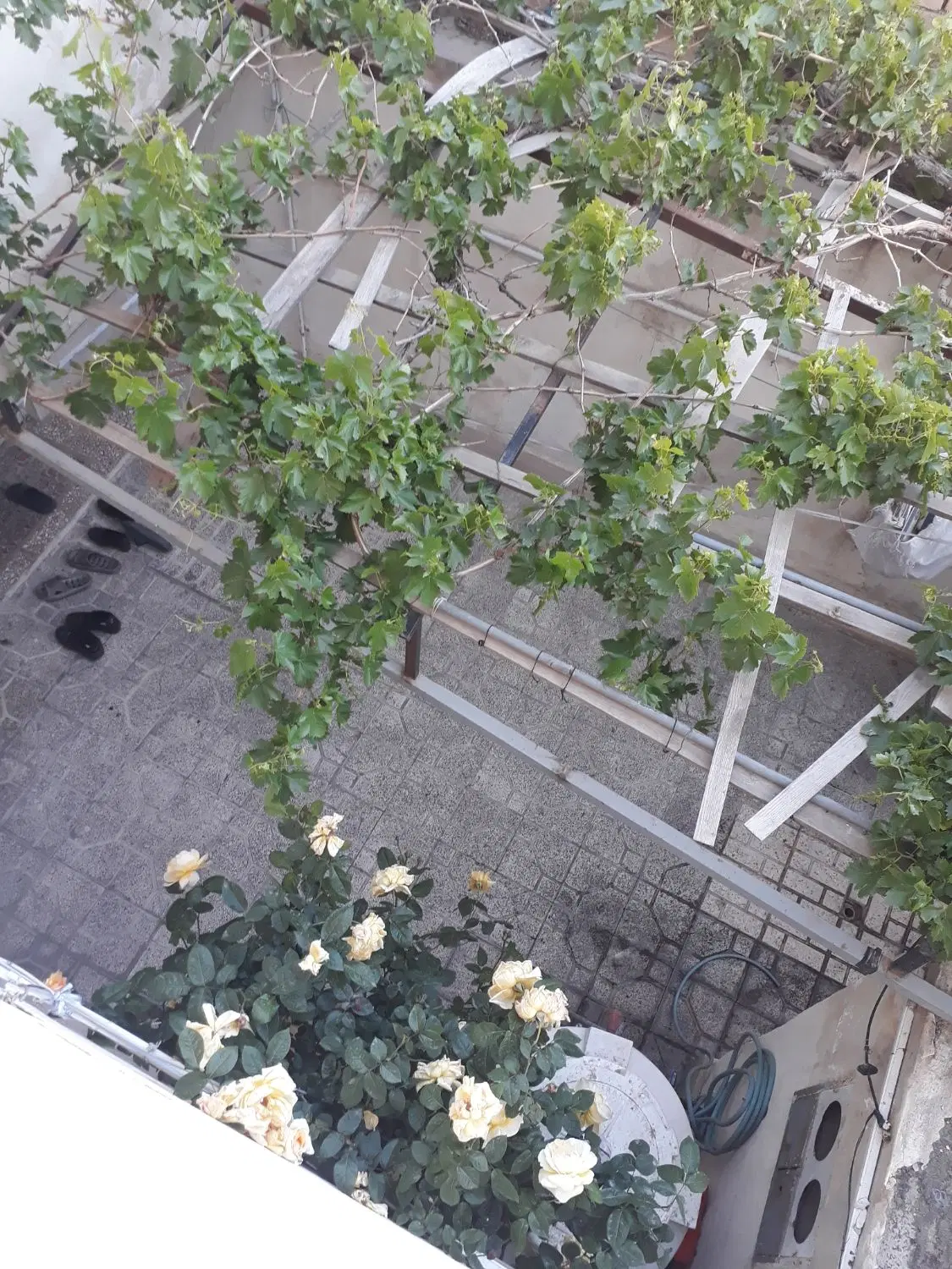 منزل ویلای